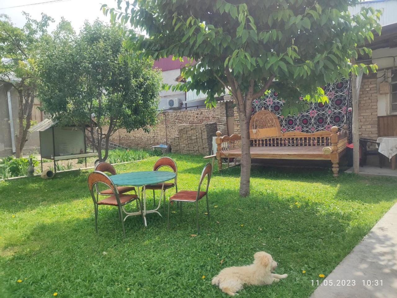 Tasmin Mexr Hostel サマルカンド エクステリア 写真